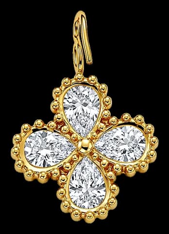 Fleur éclat