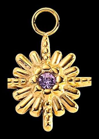 Soleil lilas