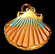 Coquille nacrée