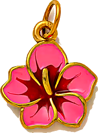 Charm Hibiscus en acier inoxydable, vu de près
