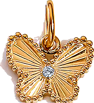Charm Papillon rayonnant en acier inoxydable, vu de près