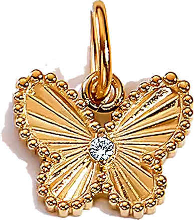Charm Papillon rayonnant en acier inoxydable, vu de près